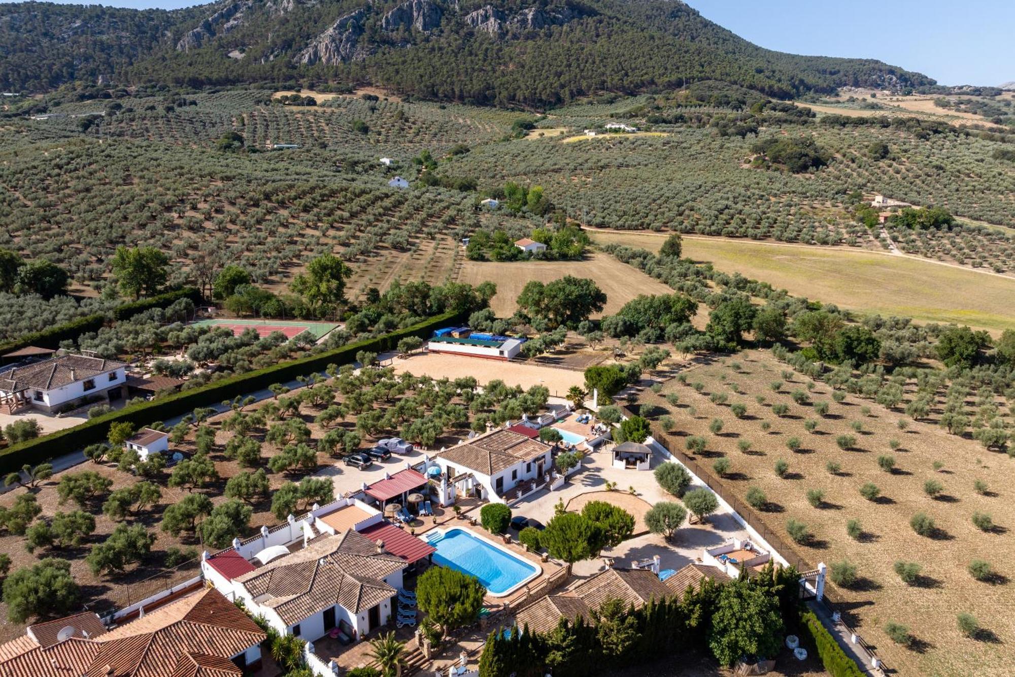 Pasa Fina, Luxury Holiday Retreat Villanueva del Trabuco Eksteriør billede